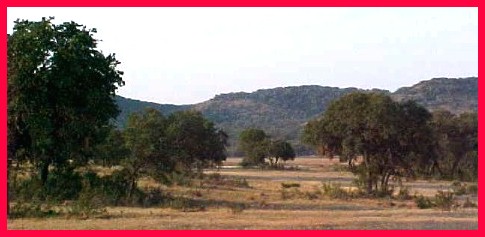 Western Horseback Riding Adventures in the Bandera, Texas Hill Country ...