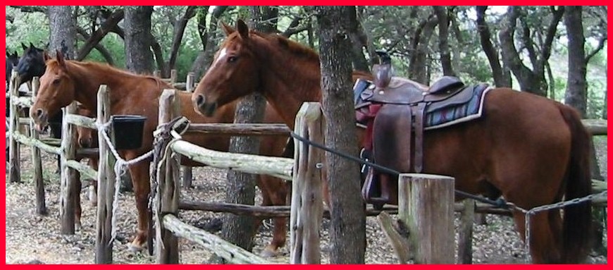 Horseback Riding at the Bar M Ranch ,Bandera, Texas